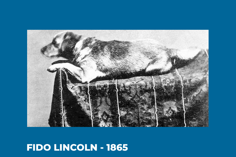 Episode 1 - Fido Lincoln