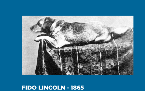 Fido_Lincoln_Dog
